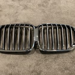 2019-2024 BMW X5 Chrome Grille OEM