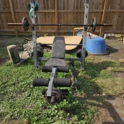 Weight Bench With Weights