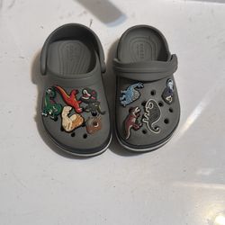 Gray Dino themed crocs size 8c