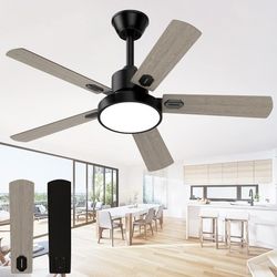 Ceiling Fan