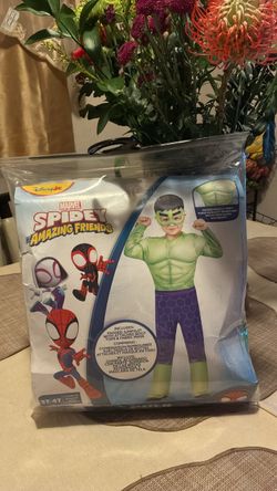 Spidey and Amazing Friends Hulk Costume