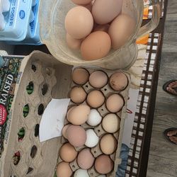 Fresh Farm EGGS 