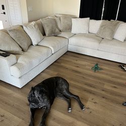 couch for sale