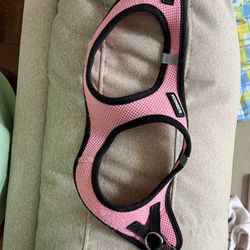 Small Dog Harness