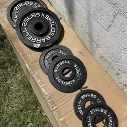 65LB Olympic Weight Set