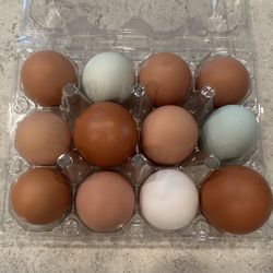 Fresh Organic Eggs