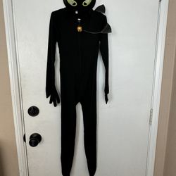 Cat Costume 