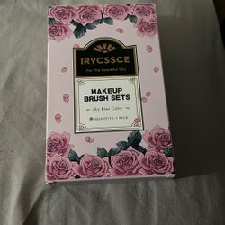 Travel Size makeup Brushes 
