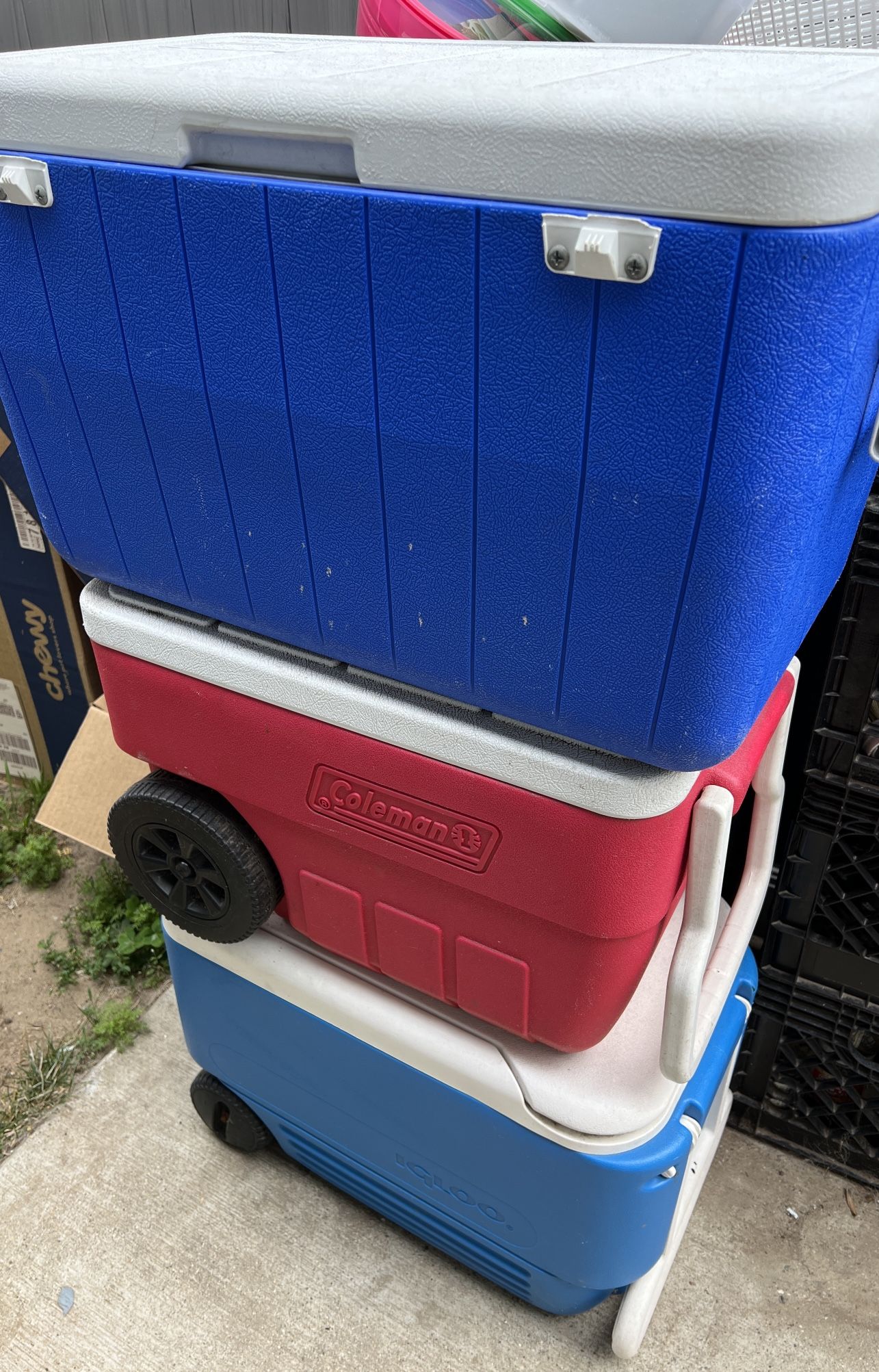Coleman / Igloo Coolers