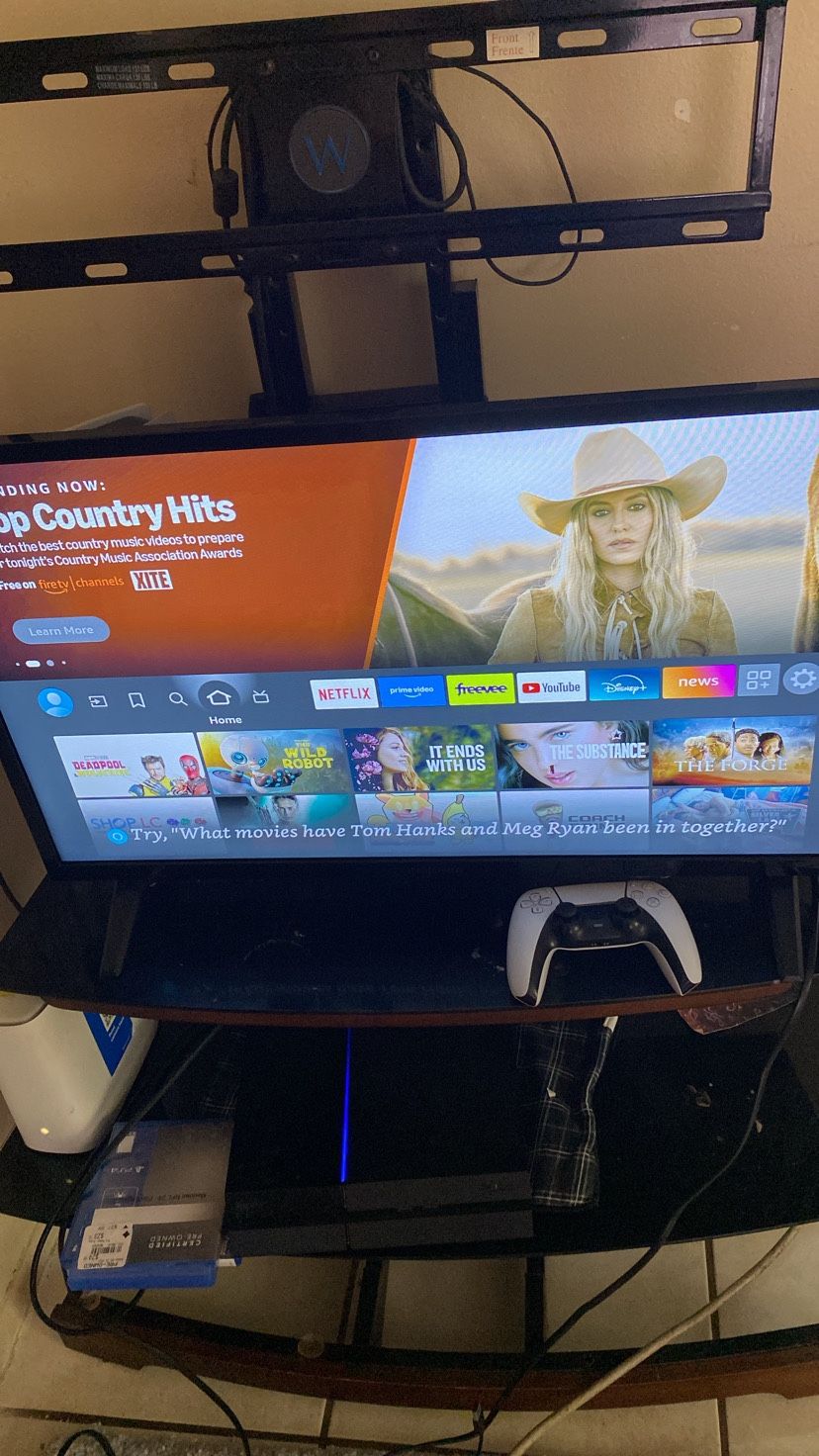 INSIGNIA FLAT SCREEN TV