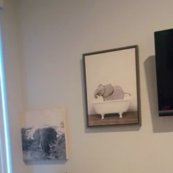 Cute Elephant Pictures 