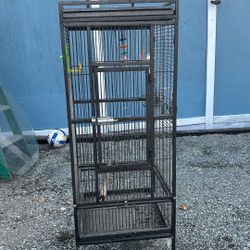 Bird Cage