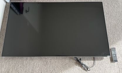 Vizio Flat Screen TV with Remote