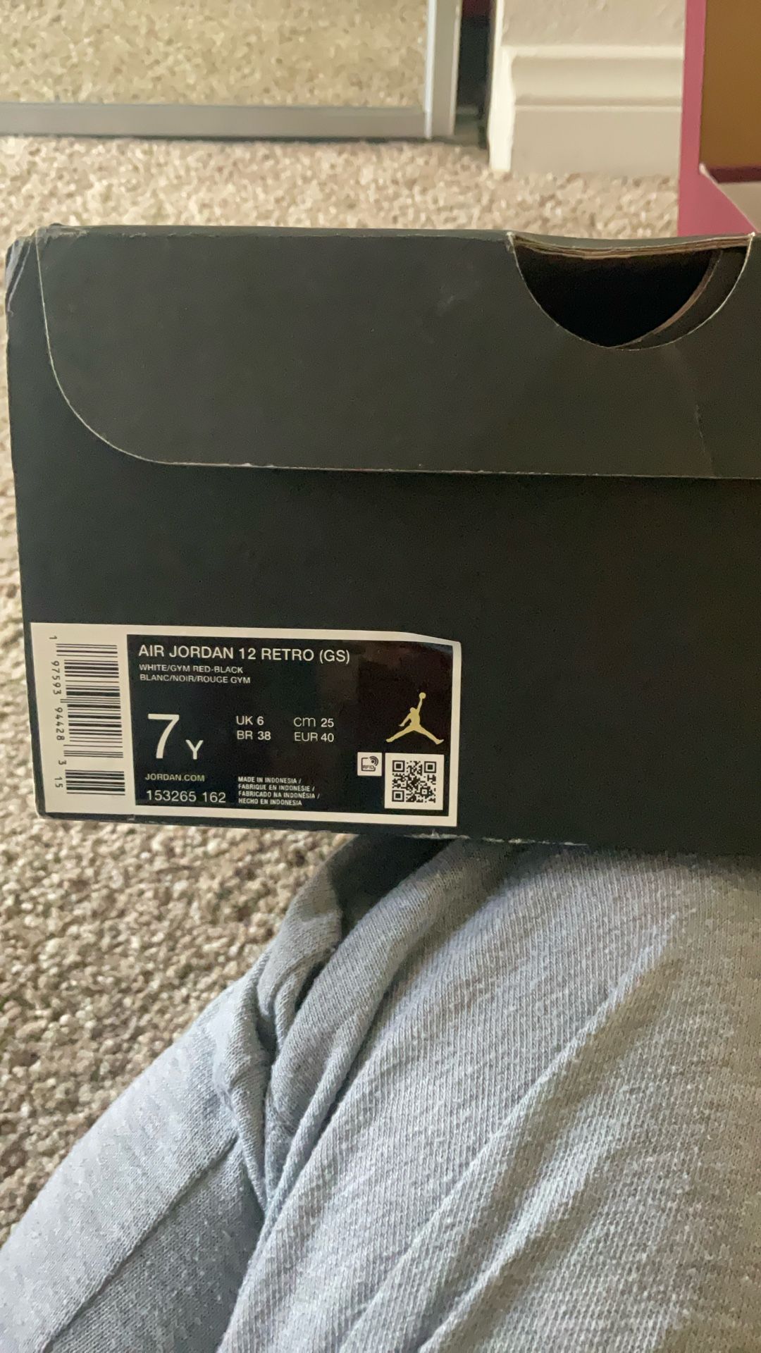 Air Jordan 12 Retro