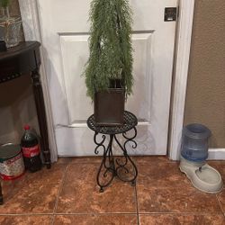 Topiary & Stand