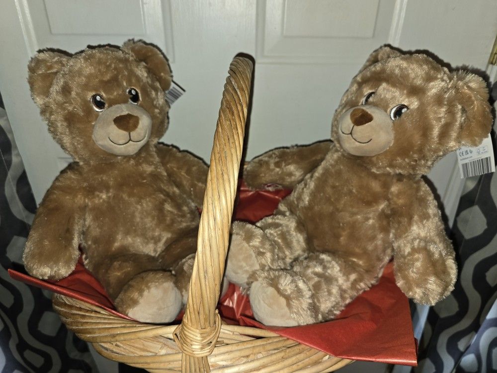 New BUILD A BEARS ( LIL BROWNIE CUB) $10 EA