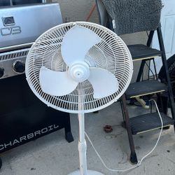 Stand Fan