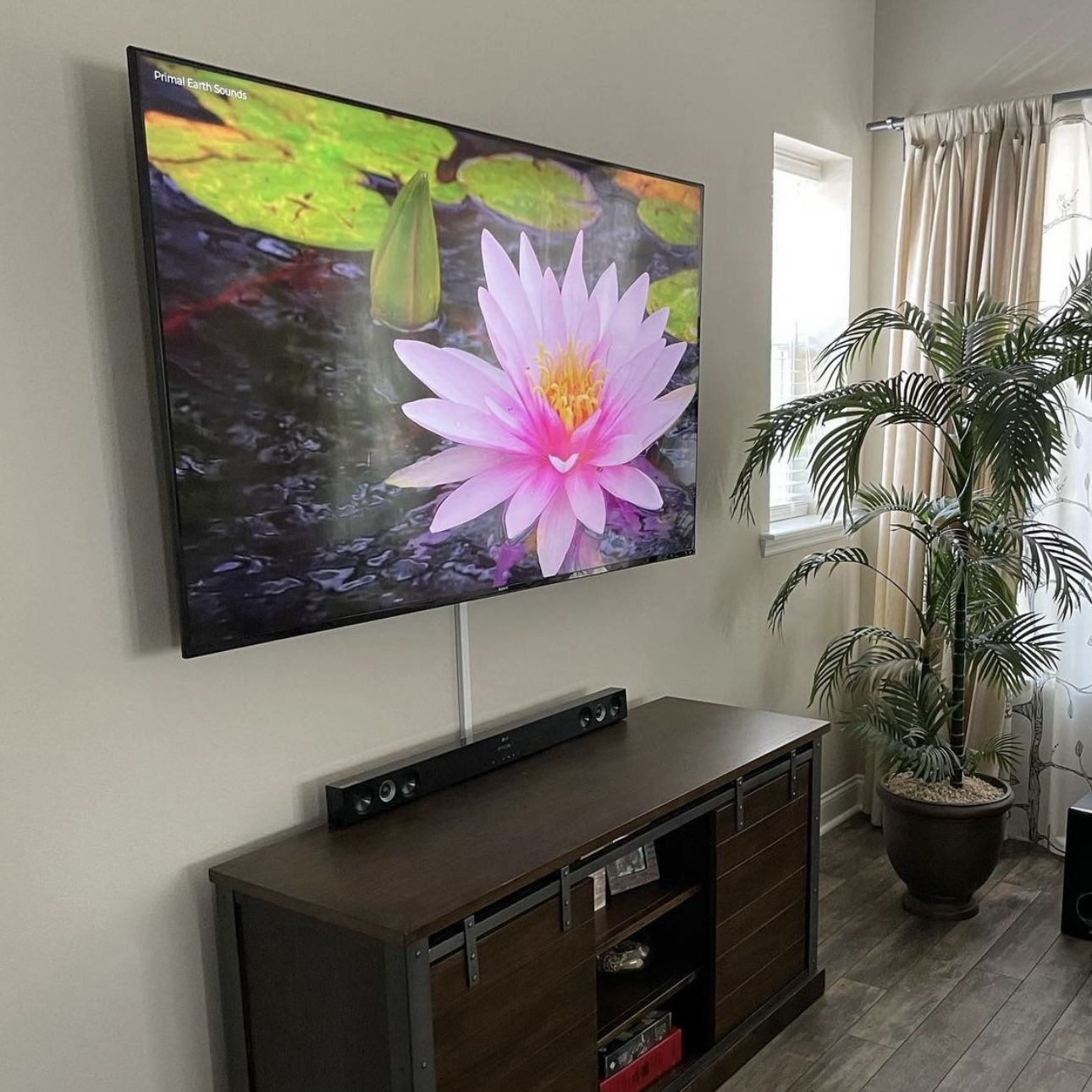 TV MOUNT