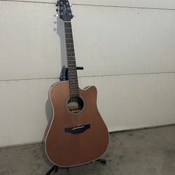 Takamine GD20CE