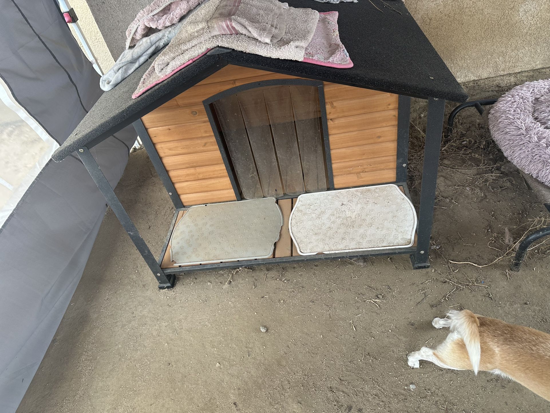 Medium Size Dog House