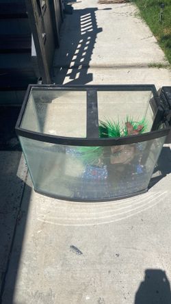 50 gallon fish tank