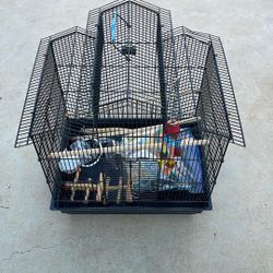 Bird Cage
