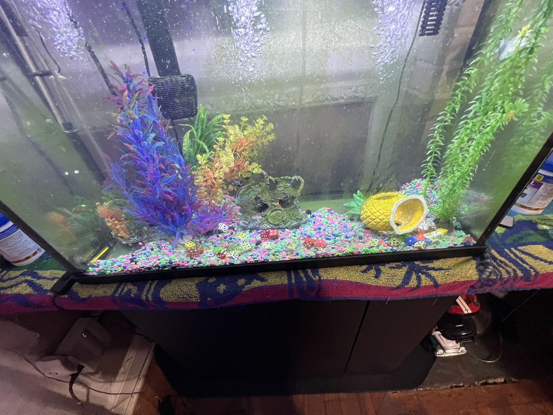 Fish Tank 40gallon