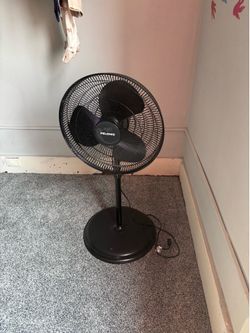 Fan