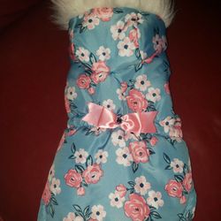 Dog Coat