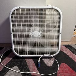 Fan