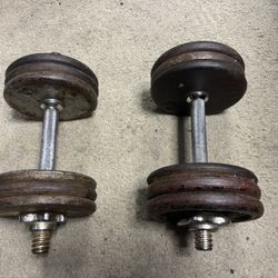 OLDSCHOOL 20LBS DUMBBELLS 