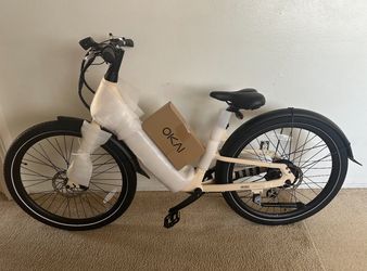 Electric Bike