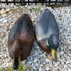 Two plastic ducks