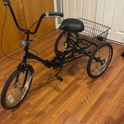 Tricycle Adult Portable 