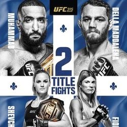 UFC 315 