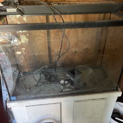 fish tanks 25 gallon 
