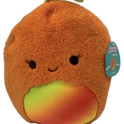 Squishmallows FuzzAMallows Louie the Orange Rainbow Mango