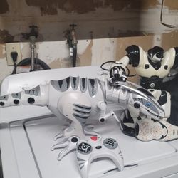 Robo sapiens. & . raptor