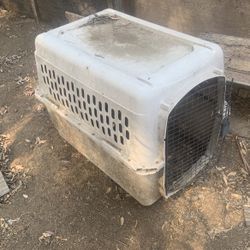 Medium-large Dog Box