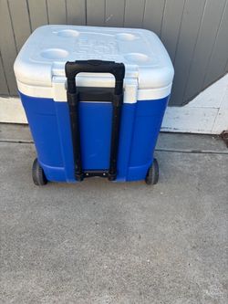 Cooler