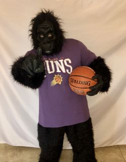 Phoenix Suns Gorilla Ball Spinning  Men's Phoenix Suns Mascot T-Shirt –  HOMAGE