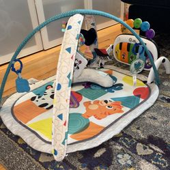 Baby Einstein Kickin’ Tunes Discovery Gym