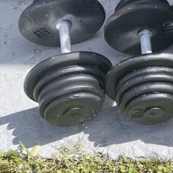 Pair Of 65lb Dumbbells Total 130lbs