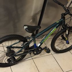 CANNONDALE CHILDREN MOUNTAIN BIKE 