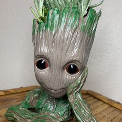 Baby Groot Succulent 