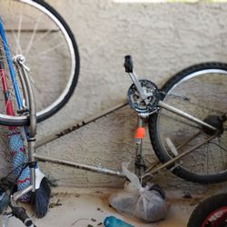 Trek Bicycle 
