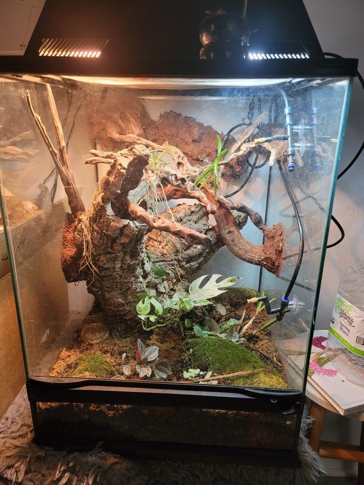 Bio Active Terrarium