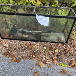 55 gallon fish tank.  free