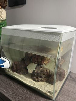 Fluval 10 Gallon Fish Tank With 4 Pounds Of Live Rocks