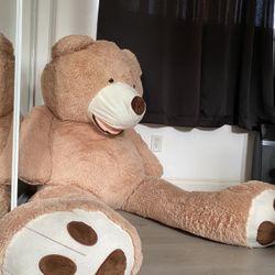 Huge XL Brown Teddy 